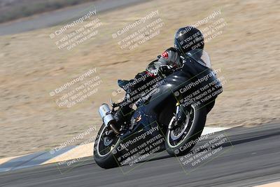 media/Mar-13-2022-SoCal Trackdays (Sun) [[112cf61d7e]]/Turns 9 and 8 (1020am)/